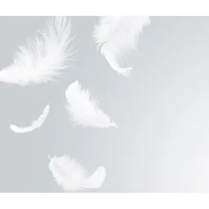 Фотообои рулонные Citydecor Перышки на флизелиновой основе 300x254 см Фотообои рулонные Citydecor Перышки на флизелиновой основе 300x254 см