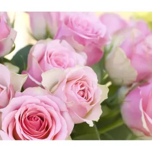 Фотообои рулонные Citydecor Розовые розы на флизелиновой основе 300x254 см