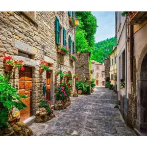 Фотообои рулонные Citydecor Улочка 1 на флизелиновой основе 300x254 см