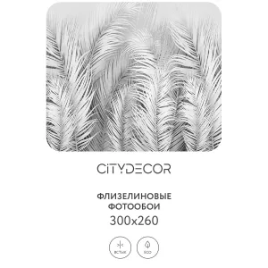 Фотообои рулонные Citydecor Пальмовые листья AIR 74 на флизелиновой основе 300x260 см