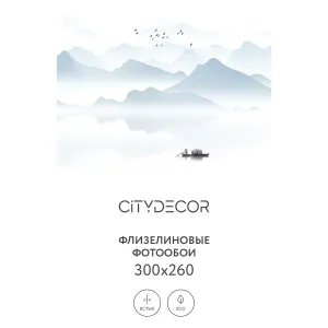 Фотообои рулонные Citydecor Абстракция 110 на флизелиновой основе 300x260 см