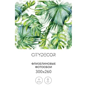 Фотообои рулонные Citydecor Абстракция 113 на флизелиновой основе 300x260 см