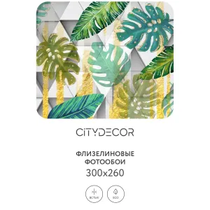 Фотообои рулонные Citydecor Абстракция 15 на флизелиновой основе 300x260 см