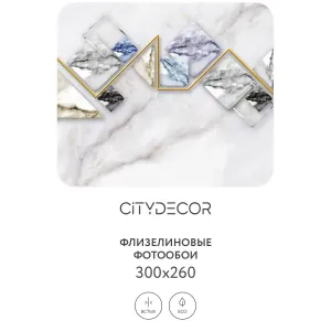 Фотообои рулонные Citydecor Абстракция 16 на флизелиновой основе 300x260 см