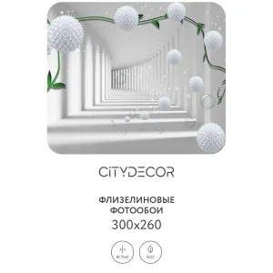 Фотообои рулонные Citydecor Абстракция 201 на флизелиновой основе 300x260 см