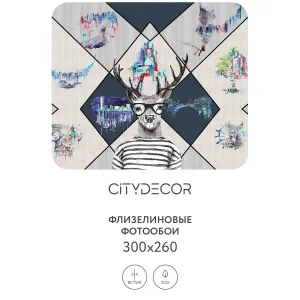 Фотообои рулонные Citydecor Абстракция 212 на флизелиновой основе 300x260 см