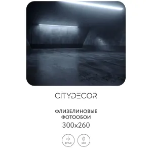Фотообои рулонные Citydecor Абстракция 227 на флизелиновой основе 300x260 см