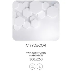 Фотообои рулонные Citydecor Абстракция 232 на флизелиновой основе 300x260 см