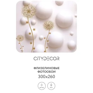 Фотообои рулонные Citydecor Абстракция 33 на флизелиновой основе 300x260 см