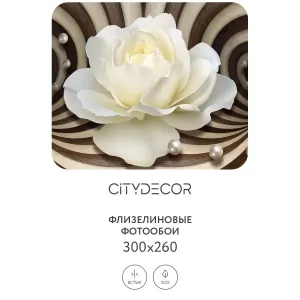 Фотообои рулонные Citydecor Абстракция 35 на флизелиновой основе 300x260 см