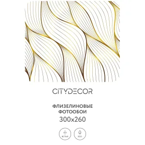Фотообои рулонные Citydecor Абстракция 383 на флизелиновой основе 300x260 см