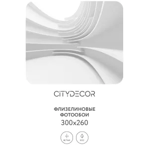 Фотообои рулонные Citydecor Абстракция 388 на флизелиновой основе 300x260 см