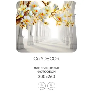 Фотообои рулонные Citydecor Абстракция 47 на флизелиновой основе 300x260 см