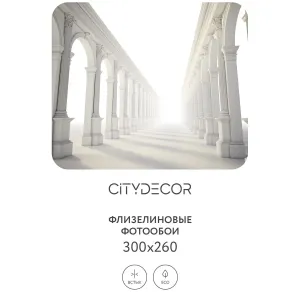 Фотообои рулонные Citydecor Абстракция 53 на флизелиновой основе 300x260 см