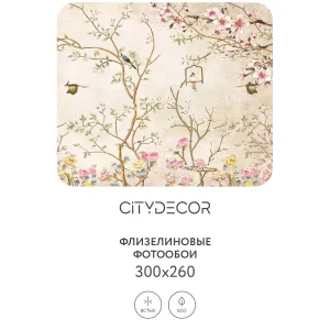 Фотообои рулонные Citydecor Абстракция 60 на флизелиновой основе 300x260 см