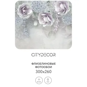 Фотообои рулонные Citydecor Абстракция 66 на флизелиновой основе 300x260 см