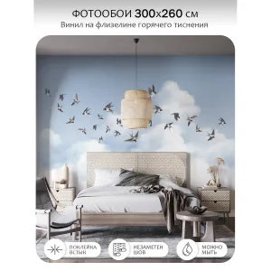 Фотообои рулонные Citydecor Air 11 на флизелиновой основе 300x260 см
