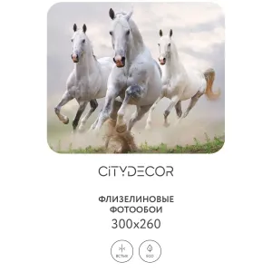 Фотообои рулонные Citydecor Животные и Птицы 14 на флизелиновой основе 300x260 см