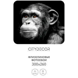 Фотообои рулонные Citydecor Животные и Птицы 5 на флизелиновой основе 300x260 см Фотообои рулонные Citydecor Животные и Птицы 5 на флизелиновой основе 300x260 см