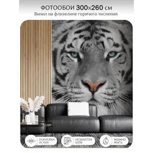 Фотообои рулонные Citydecor Животные и Птицы 55 на флизелиновой основе 300x260 см