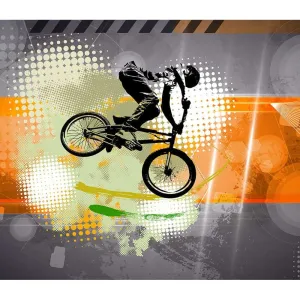 Фотообои рулонные Citydecor Байк трэвел на флизелиновой основе 300x260 см