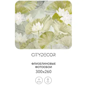 Дизайнерские фотообои рулонные Citydecor Blossom 12 на флизелиновой основе 300x260 см