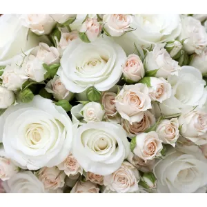 Фотообои рулонные Citydecor Букет роз на флизелиновой основе 300x260 см 