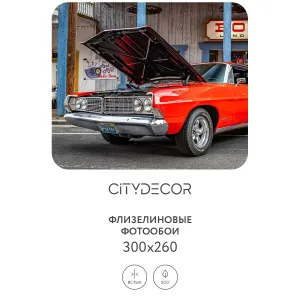 Фотообои рулонные Citydecor Транспорт 149 на флизелиновой основе 300x260 см