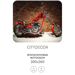 Фотообои рулонные Citydecor Транспорт 23 на флизелиновой основе 300x260 см