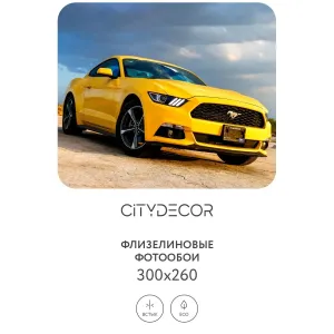 Фотообои рулонные Citydecor Транспорт 24 на флизелиновой основе 300x260 см
