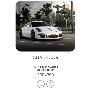 Фотообои рулонные Citydecor Транспорт 3 на флизелиновой основе 300x260 см