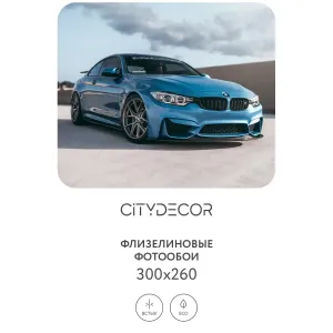 Фотообои рулонные Citydecor Транспорт 30 на флизелиновой основе 300x260 см