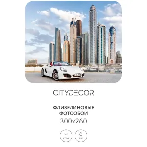 Фотообои рулонные Citydecor Транспорт 33 на флизелиновой основе 300x260 см