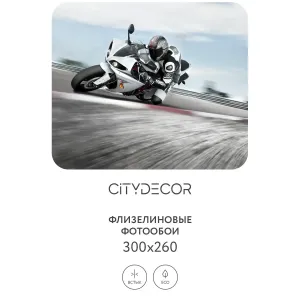 Фотообои рулонные Citydecor Транспорт 4 на флизелиновой основе 300x260 см