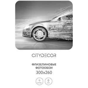 Фотообои рулонные Citydecor Транспорт 7 на флизелиновой основе 300x260 см