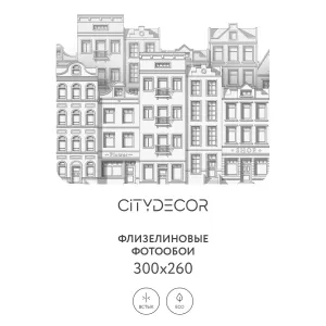 Фотообои рулонные Citydecor Города и Архитектура 42 на флизелиновой основе 300x260 см