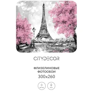 Фотообои рулонные Citydecor Города и Архитектура 45 на флизелиновой основе 300x260 см