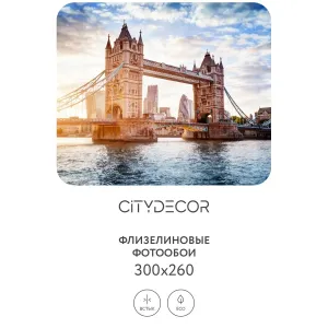 Фотообои рулонные Citydecor Города и Архитектура 48 на флизелиновой основе 300x260 см