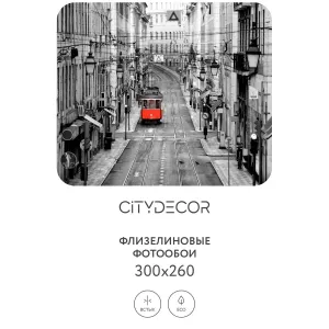 Фотообои рулонные Citydecor Города и Архитектура 53 на флизелиновой основе 300x260 см