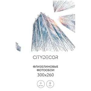 Фотообои рулонные Citydecor Города и Архитектура 78 на флизелиновой основе 300x260 см