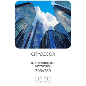 Фотообои рулонные Citydecor Города и Архитектура 79 на флизелиновой основе 300x260 см