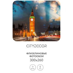 Фотообои рулонные Citydecor Города и Архитектура 82 на флизелиновой основе 300x260 см