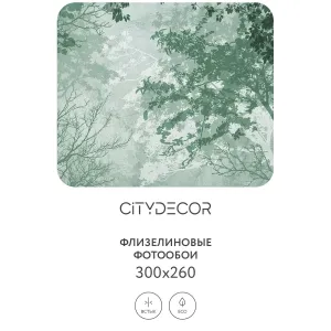 Дизайнерские фотообои рулонные Citydecor Dark Side 33 на флизелиновой основе 300x260 см
