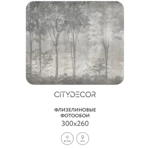 Дизайнерские фотообои рулонные Citydecor Dark Side 34 на флизелиновой основе 300x260 см