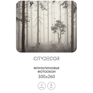 Дизайнерские фотообои рулонные Citydecor Dark Side 35 на флизелиновой основе 300x260 см