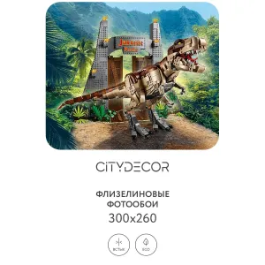 Фотообои рулонные Citydecor Детская 346 на флизелиновой основе 300x260 см