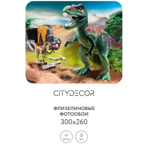 Фотообои рулонные Citydecor Детская 347 на флизелиновой основе 300x260 см