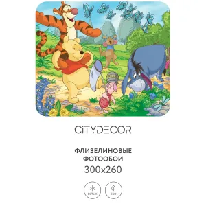 Фотообои рулонные Citydecor Детская 361 на флизелиновой основе 300x260 см