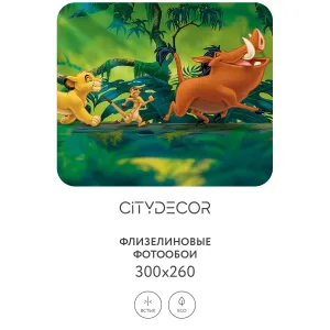 Фотообои рулонные Citydecor Детская 362 на флизелиновой основе 300x260 см