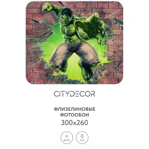 Фотообои рулонные Citydecor Детская 368 на флизелиновой основе 300x260 см